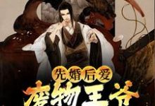 在线寻找李澈的小说,先婚后爱:废物王爷宠妻没下限免费阅读-书格格