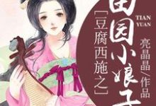 豆腐西施之田园小娘子小说的免费电子版在哪里可以下载或阅读？-书格格