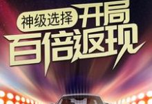 沈浪林婉雪的小说在哪里看?免费在线阅读神级选择:开局百倍返现-书格格