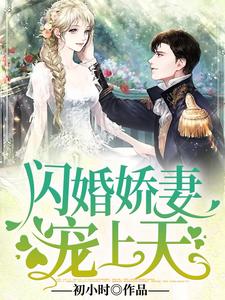 求闪婚娇妻宠上天小说的全文免费阅读链接