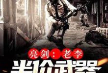 在线寻找支援亮剑:我有武器清仓大甩卖小说的无删减版本-书格格