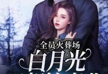 主角徐尽欢小说全员火葬场,白月光只想搞事业免费阅读-书格格