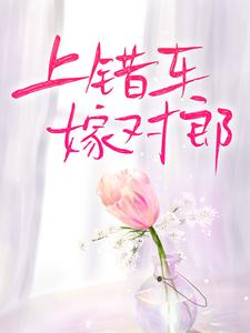 已完结小说《上错车，嫁对郎》最新章节