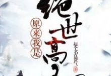 哪里能找到原来我是绝世高人小说的全部章节?-书格格