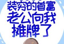 闪婚超甜：装穷的首富老公向我摊牌了苏恩明燕小说免费阅读-书格格