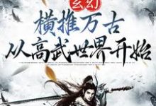 玄幻:横推万古从高武世界开始小说有没有完结版在线?-书格格