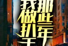 我做扒手那些年小说有没有完结版在线?-书格格