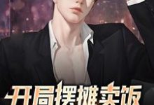 赵言小说在线章节免费阅读(开局摆摊卖饭,我能加点升级无弹窗无删减)-书格格