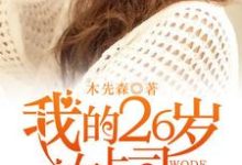 免费在线阅读我的26岁女上司小说的正规网站有哪些?-书格格