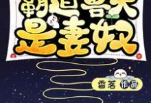 蛮荒强宠:霸道兽夫是妻奴向晚晚林小说在线章节免费阅读-书格格