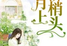 月上柳梢头小说完结了吗?在哪里可以免费读到?-书格格