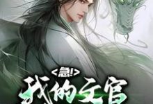 免费在线阅读急!我的文官手持万斤神力小说的正规网站有哪些?-书格格