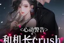 心动警告:和机长crush恋爱了小说,心动警告:和机长crush恋爱了免费阅读-书格格
