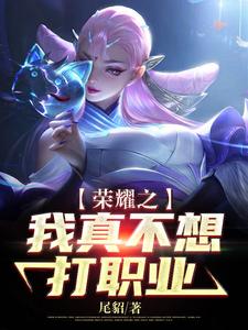 《荣耀之我真不想打职业》小说主角叶落林婉章节章节免费在线阅读