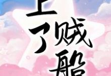 上了贼船乔笙陆廷渊,上了贼船小说免费阅读-书格格