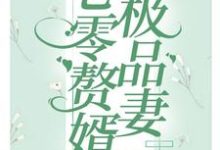七零赘婿极品妻小说全文哪里可以免费看?-书格格