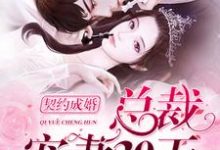 免费阅读言晚霍黎辰言默林为主角的小说,契约成婚,总裁宠妻30天在线看-书格格