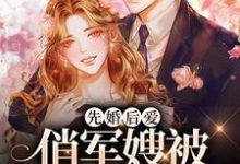 寻找先婚后爱:俏军嫂被军官宠上天小说的最新更新章节-书格格