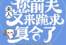 小说《夫人,您前夫又来跪求复合了》章节免费阅读-书格格