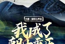 大唐:被听心声后,我成了朝中重臣小说的最新章节在哪里更新?免费追踪阅读-书格格
