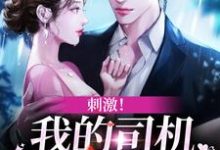 主人公杨柳陆弋小说刺激！我的司机是霸总本霸在线章节阅读-书格格