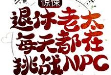 董淑珍的故事在哪本书里?免费阅读惊悚:退休老太每天都在挑战NPC-书格格