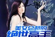 美女总裁的绝世高手叶轩苏晴,美女总裁的绝世高手在线无弹窗阅读-书格格