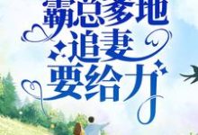 江依洛衡之的完整故事在哪里?读萌宝堵门:霸总爹地追妻要给力小说-书格格
