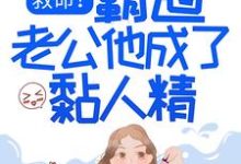 求救命!霸道老公他成了黏人精小说的全文免费阅读链接-书格格