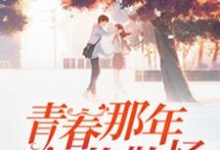 小说《青春那年终将散场》章节免费阅读-书格格