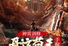 林枫小说在线章节免费阅读(神霄剑修:哥这苟王手握七剑成最强无弹窗无删减)-书格格