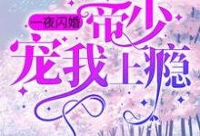 一夜闪婚:帝少宠我上瘾小说的免费电子版在哪里可以下载或阅读?-书格格
