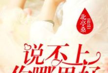 《说不上你哪里好，我却忘不了》小说主角夏远周竞存贺敏之江慎霆章节章节免费在线阅读-书格格