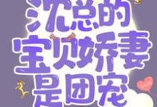 宠婚成瘾:沈总的宝贝娇妻是团宠小说,宠婚成瘾:沈总的宝贝娇妻是团宠最新章节-书格格