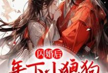 琅斐沈清棠小说叫什么(闪婚后,年下小狼狗不装了免费阅读)-书格格