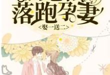 娶一送二,厉总的落跑孕妻温妤厉霆深李心颖在线章节免费阅读-书格格