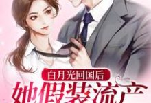 白月光回国后,她假装流产跑路了这本小说怎么样?免费在线阅读试试-书格格