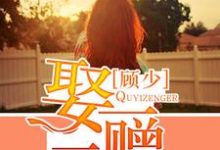 完结版《顾少,娶一赠二》章节阅读-书格格