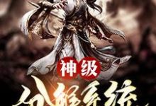杨辰系统华云峰王猛为主角的小说好看吗?免费读神级分解系统一键999级-书格格