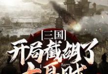 三国:开局截胡了大耳贼 刘磐貂蝉小说免费阅读-书格格