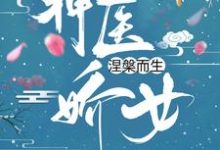 神医娇女涅槃而生沈青鸾风璃宸小说在线章节免费阅读-书格格