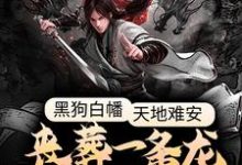 完整版的黑狗白幡,天地难安,丧葬一条龙了解一下小说在哪里可以免费读到?-书格格