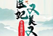 魏紫风澹渊小说叫什么(医妃又美又飒,专治傲娇王爷免费阅读)-书格格
