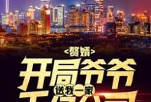 赘婿:开局爷爷送我一家千亿公司小说全文阅读需要付费吗?寻找免费资源-书格格