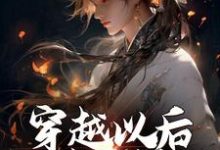 主角叫赢易小说穿越以后,他杀伐果断章节免费阅读-书格格