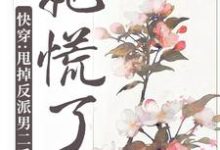 哪里能找到快穿:甩掉反派男二后,她慌了小说的最新更新和免费章节?-书格格