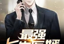 主人公叫叶枫刘薇薇的小说哪里免费看-书格格