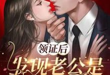 免费看领证后,发现老公是隐藏大佬小说的网站有哪些?-书格格