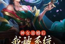 神女退婚后,我被系统奖励绝世功法小说,神女退婚后,我被系统奖励绝世功法免费阅读-书格格