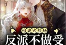 小说《追妻火葬场:反派不做受气媳妇啦》章节免费阅读-书格格